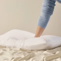 2 Pack Standard Pillows