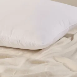 2 Pack Standard Pillows