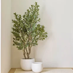 Paddington Planter