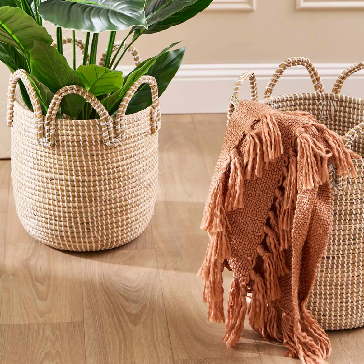 Paulie Basket