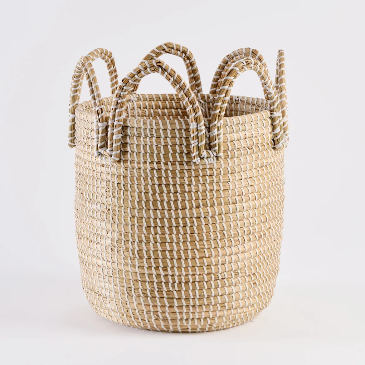Paulie Basket