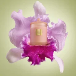 Radiance In Bloom 380g Candle
