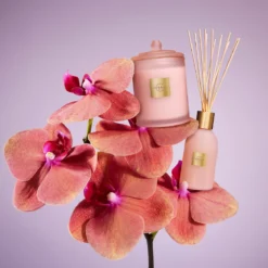 Radiance In Bloom 380g Candle