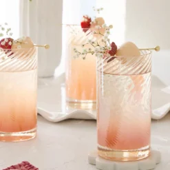 Raya Lustre Highball Glass Set of 4