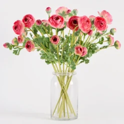 Wild Ranunculus Stem