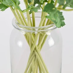 Wild Ranunculus Stem