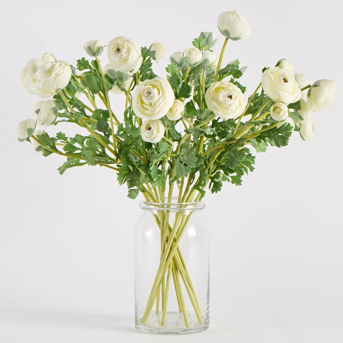 Wild Ranunculus Stem