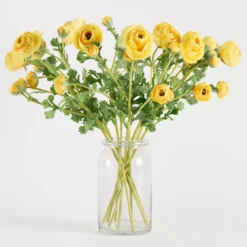 Wild Ranunculus Stem