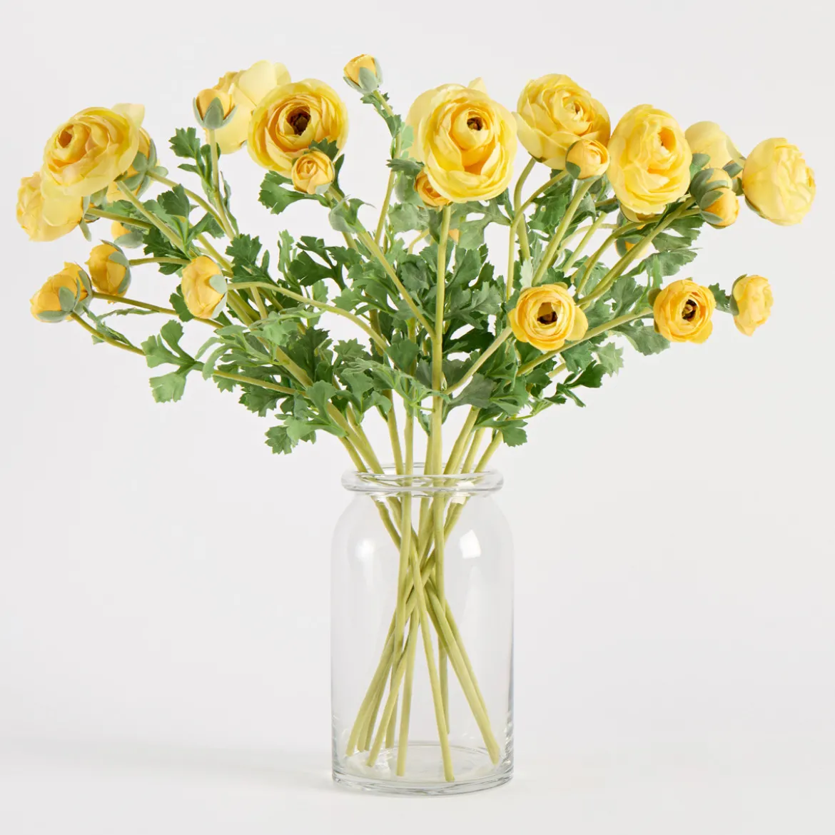 Wild Ranunculus Stem