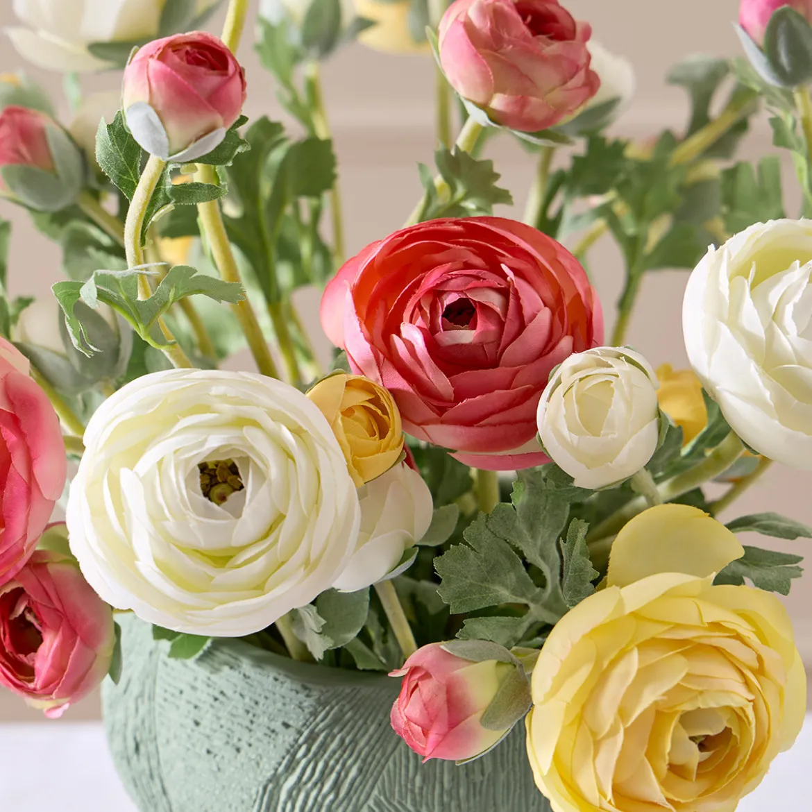 Wild Ranunculus Stem